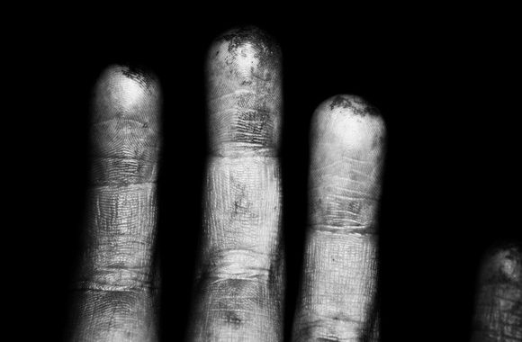 12/14 Ruce a stromy / Hands and trees