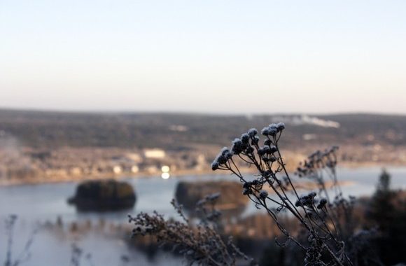 10/14 Morning walk to Ounasvaara.