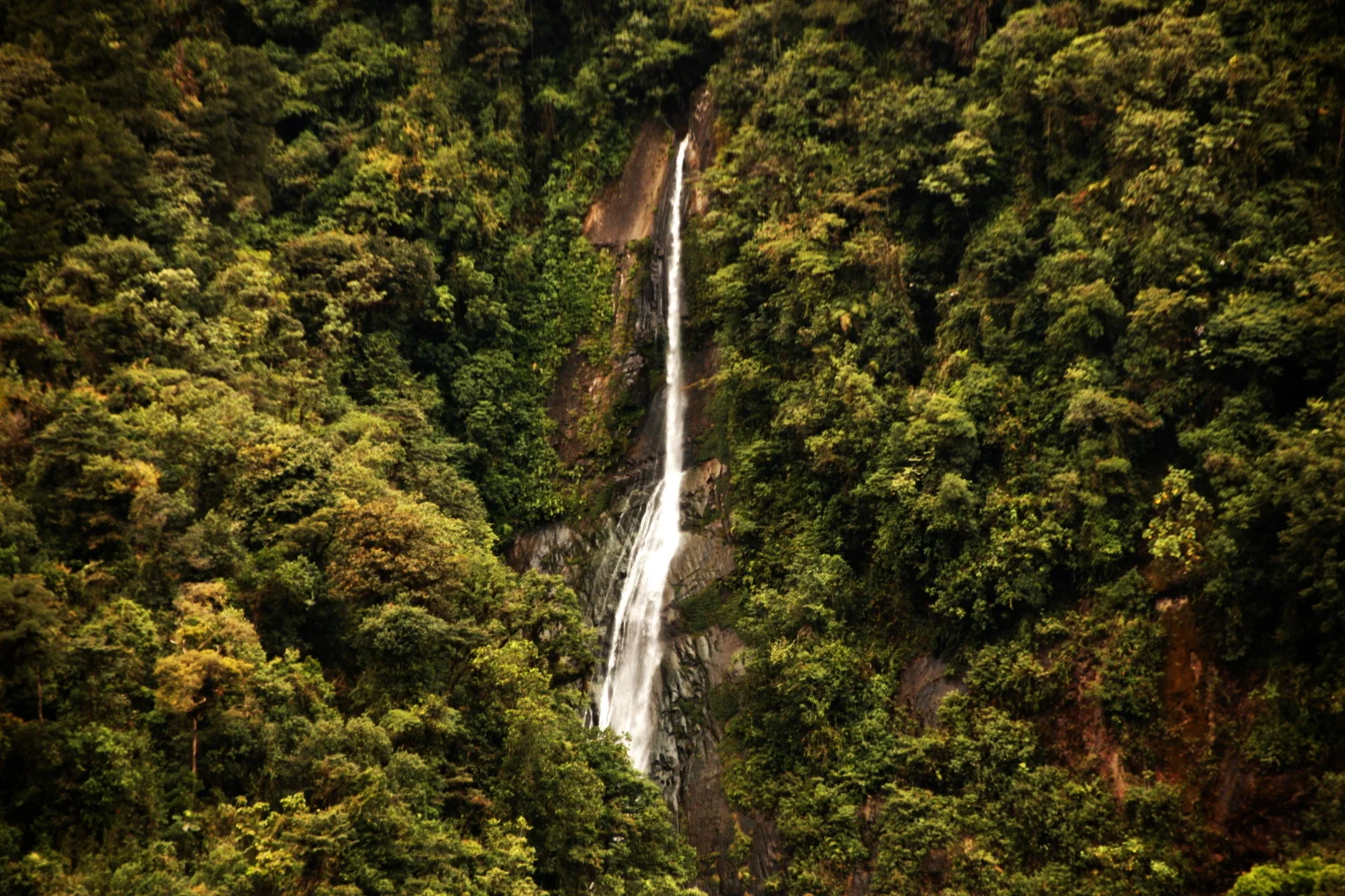 PARQUE NACIONAL TAPANTÍ